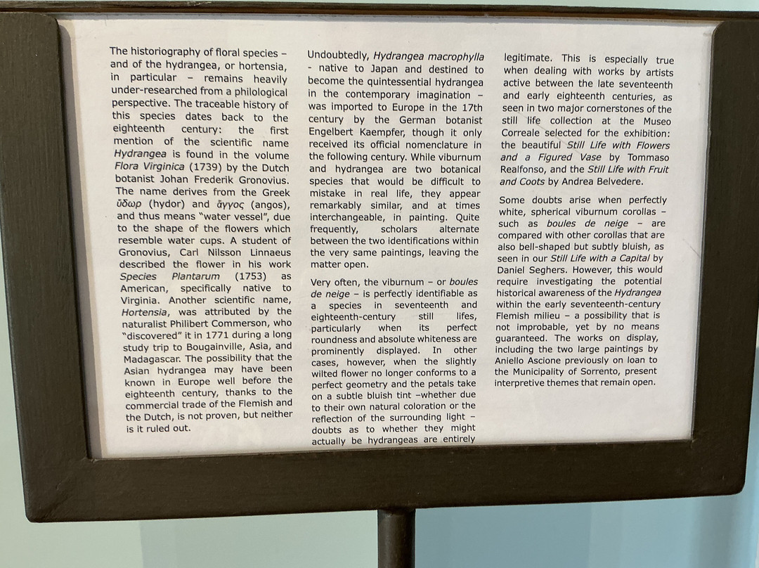 Correale di Terranova Museum-索伦托必去景点
