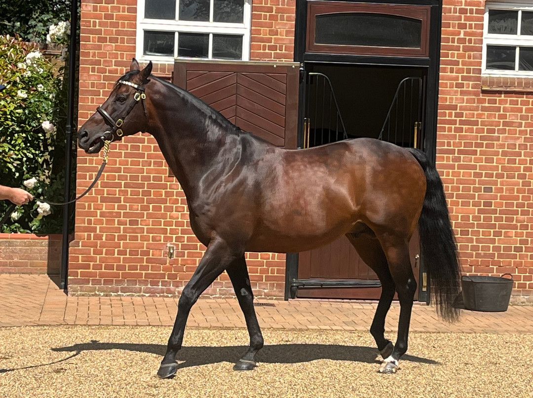 Discover Newmarket Tours-纽马克特必去景点