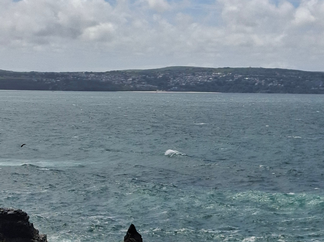 Godrevy Point-Gwithian必去景点