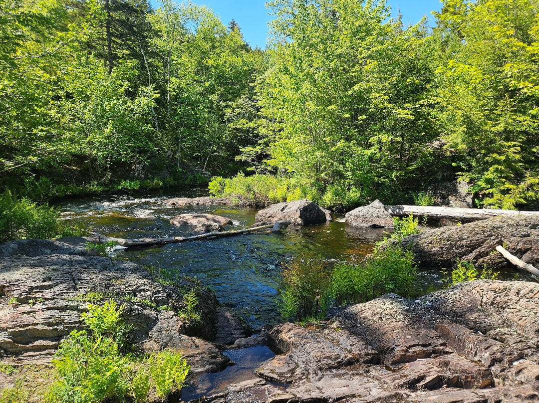 Crystal Falls Hiking Trail-Greenwood必去景点