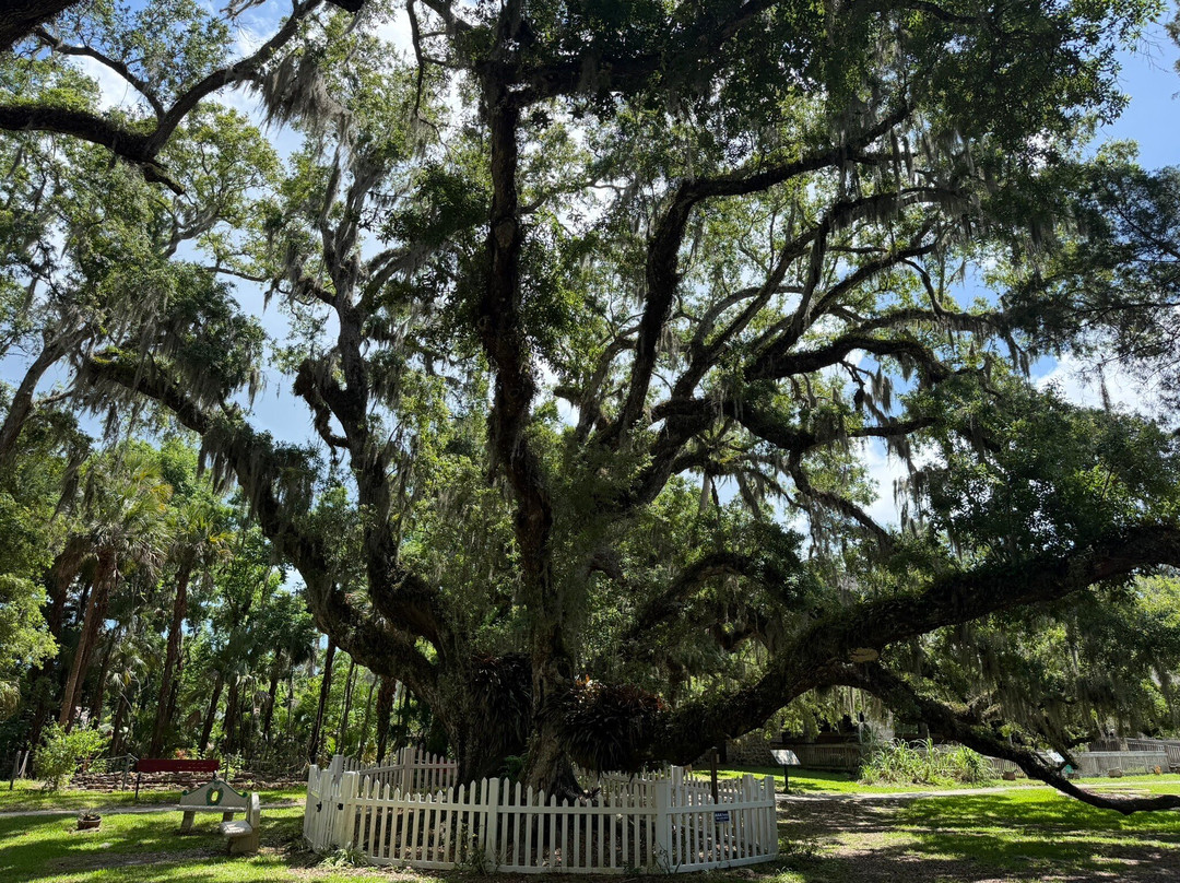 Dunlawton Sugar Mill Gardens-珀特奥兰治必去景点