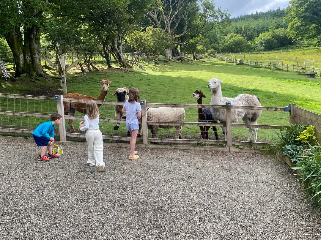 little peru alpaca trekking-Maybole必去景点