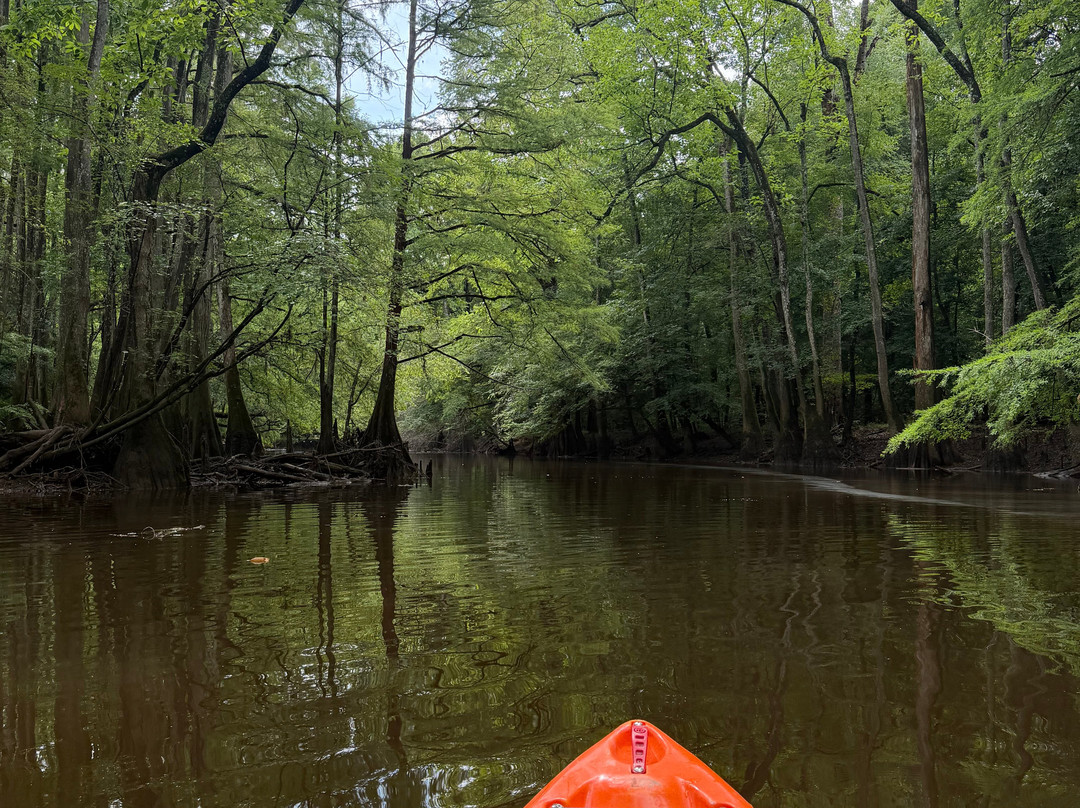 Carolina Outdoor Adventures-厄莫必去景点