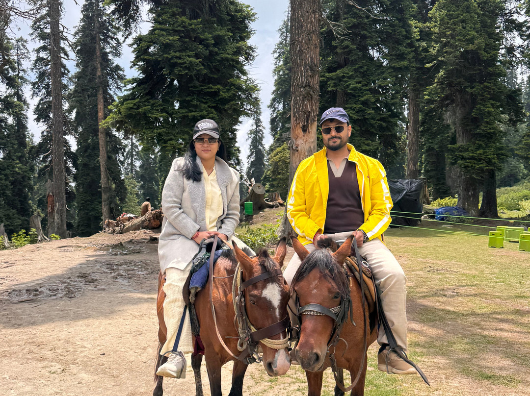 Adventures Kashmir-贡马必去景点