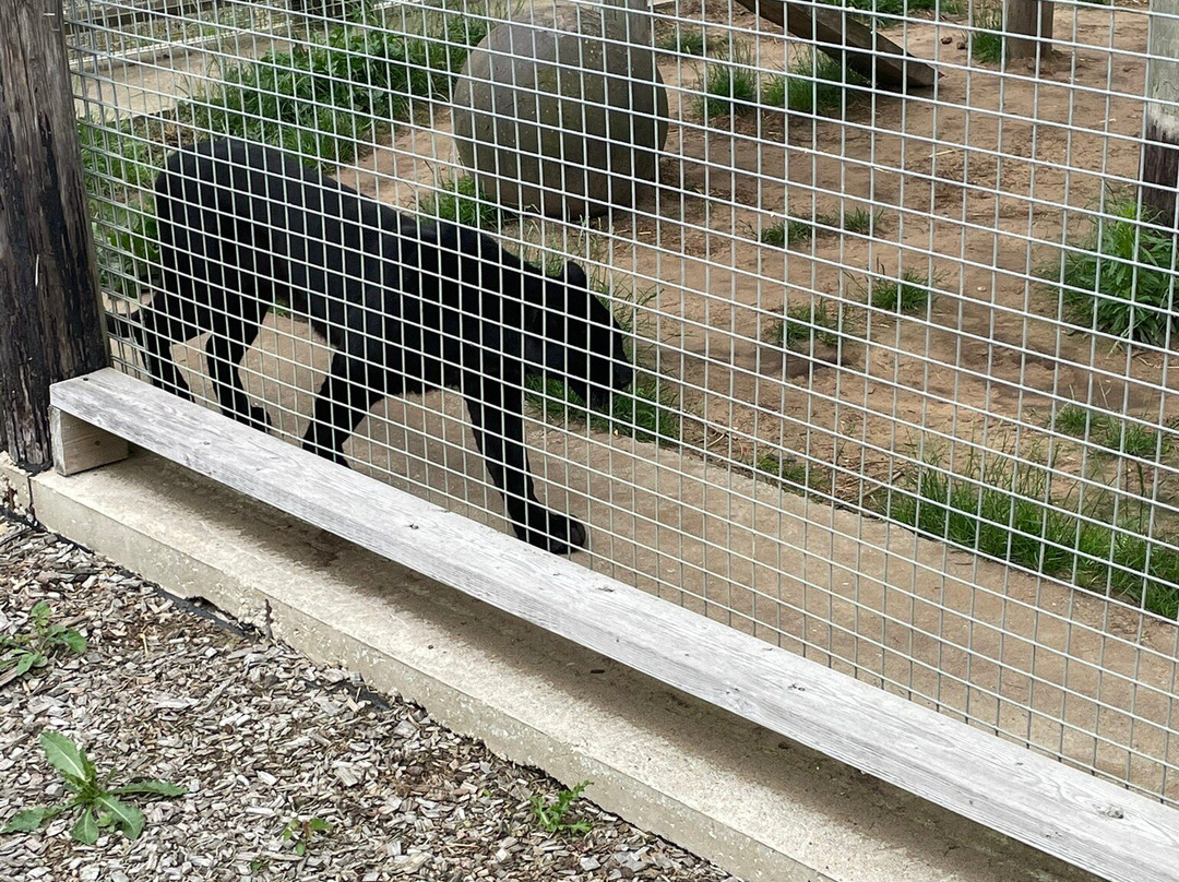 Wolds Wildlife Park-Horncastle必去景点