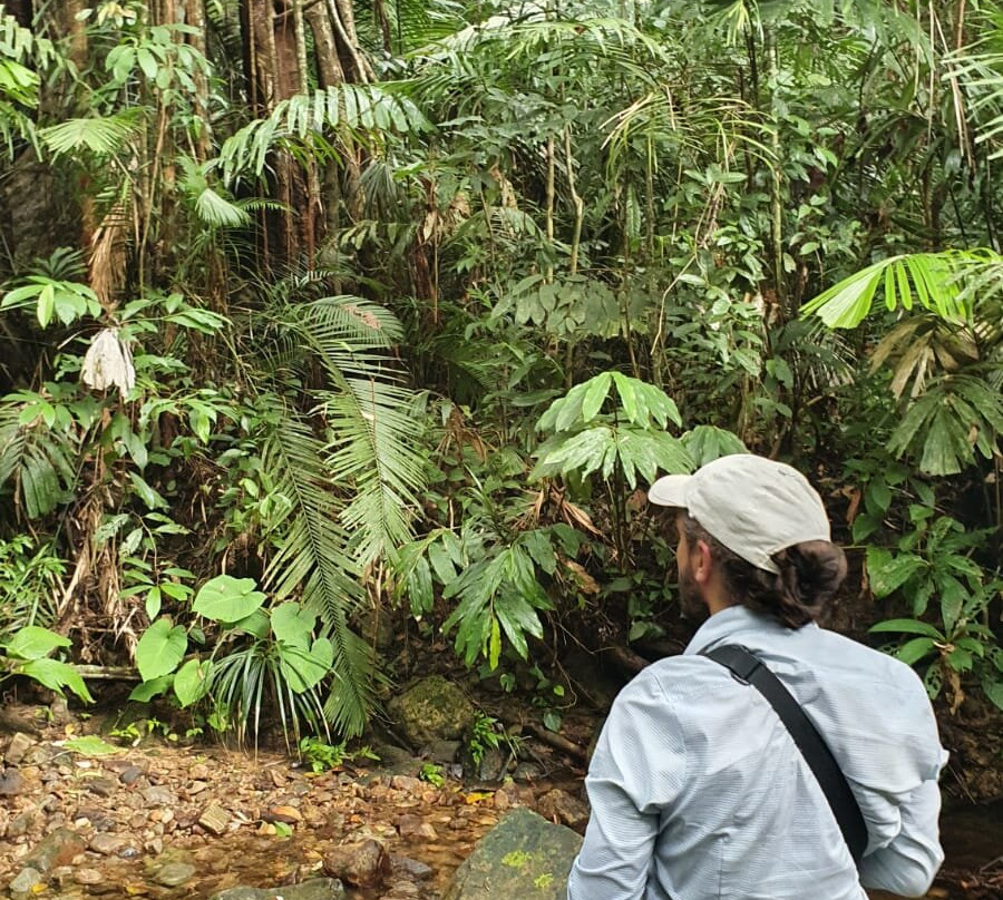 Ujung Kulon Ecotourism-Ujungjaya必去景点