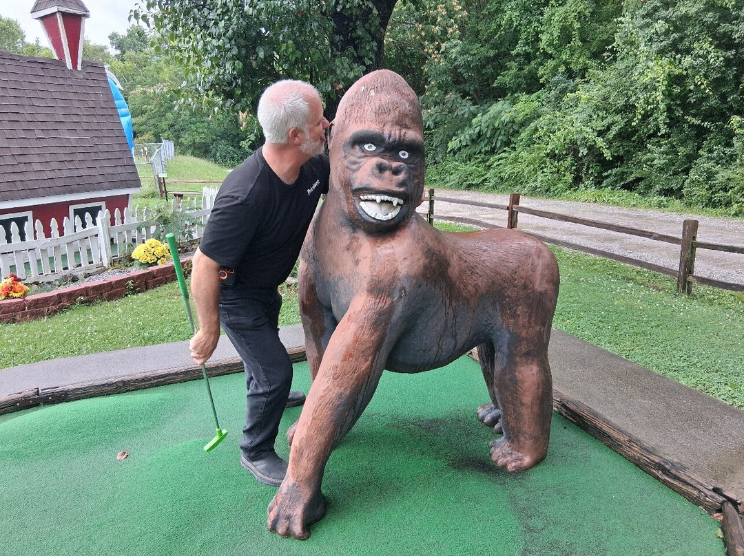 Sir Goony's Family Fun Center-诺克斯维尔必去景点