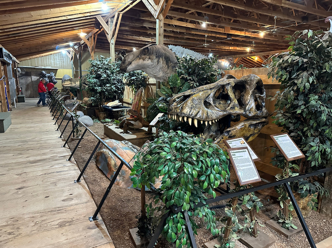 Dinosaur Museum-拉皮德城必去景点