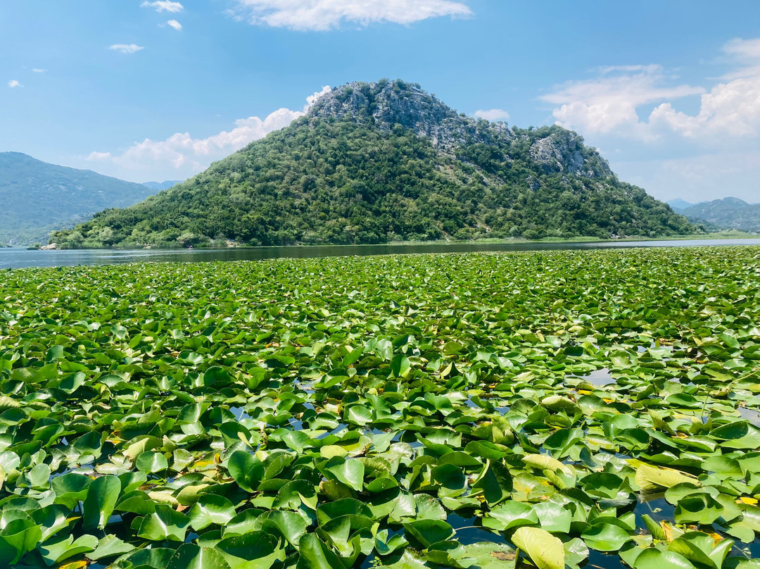 Monte Frog Boat Cruise-维尔巴札拉必去景点
