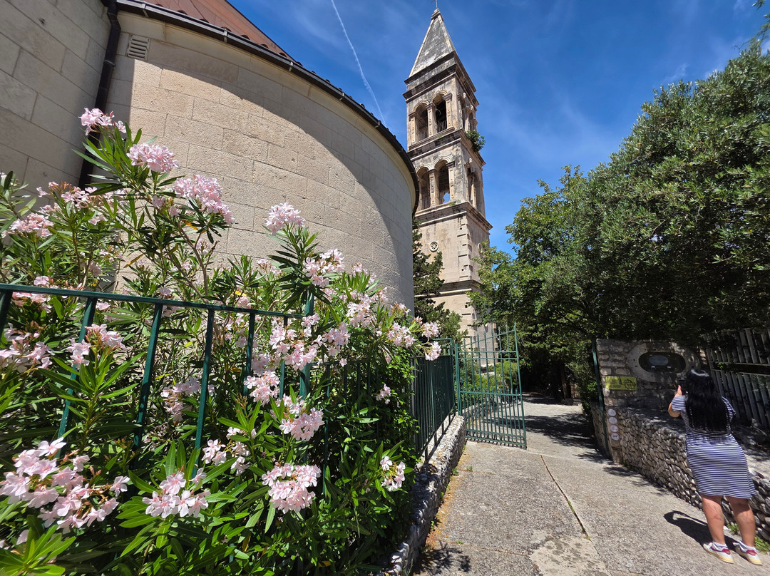 Shells Museum Malakoloski Muzej-玛卡沙必去景点