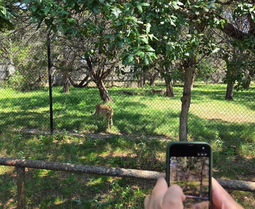 Fossil Rim Wildlife Center-Glen Rose必去景点