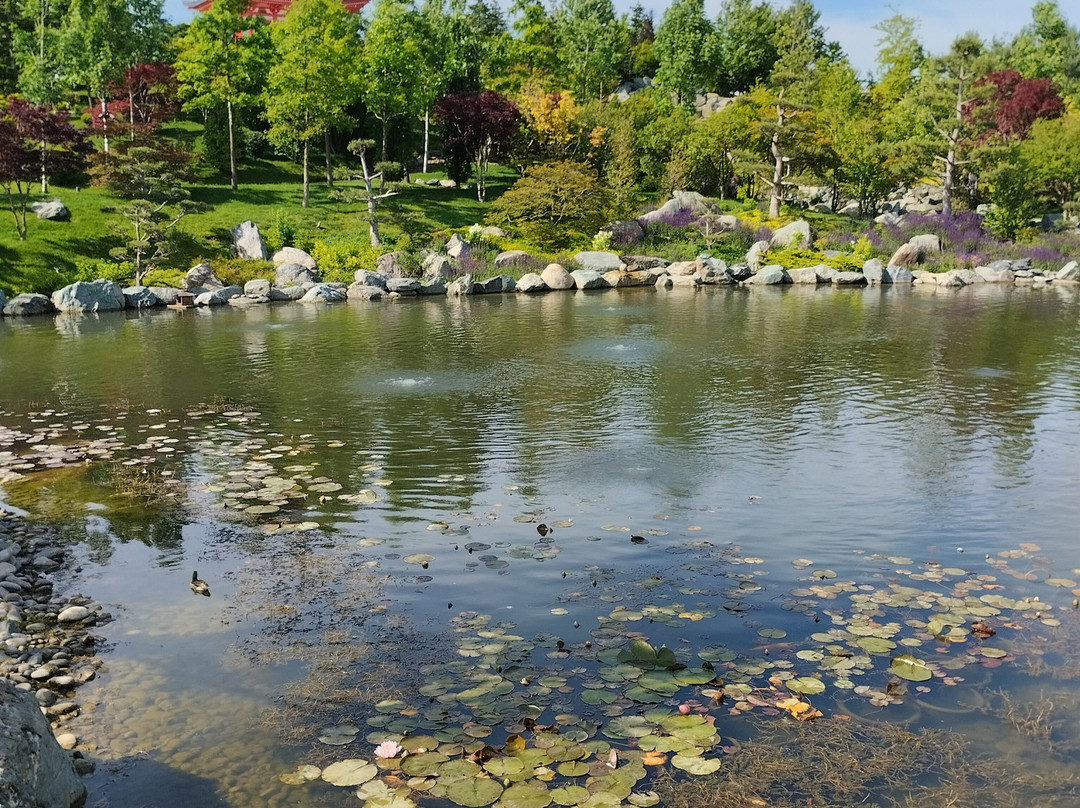 Japanese Garden-克拉斯诺达尔必去景点