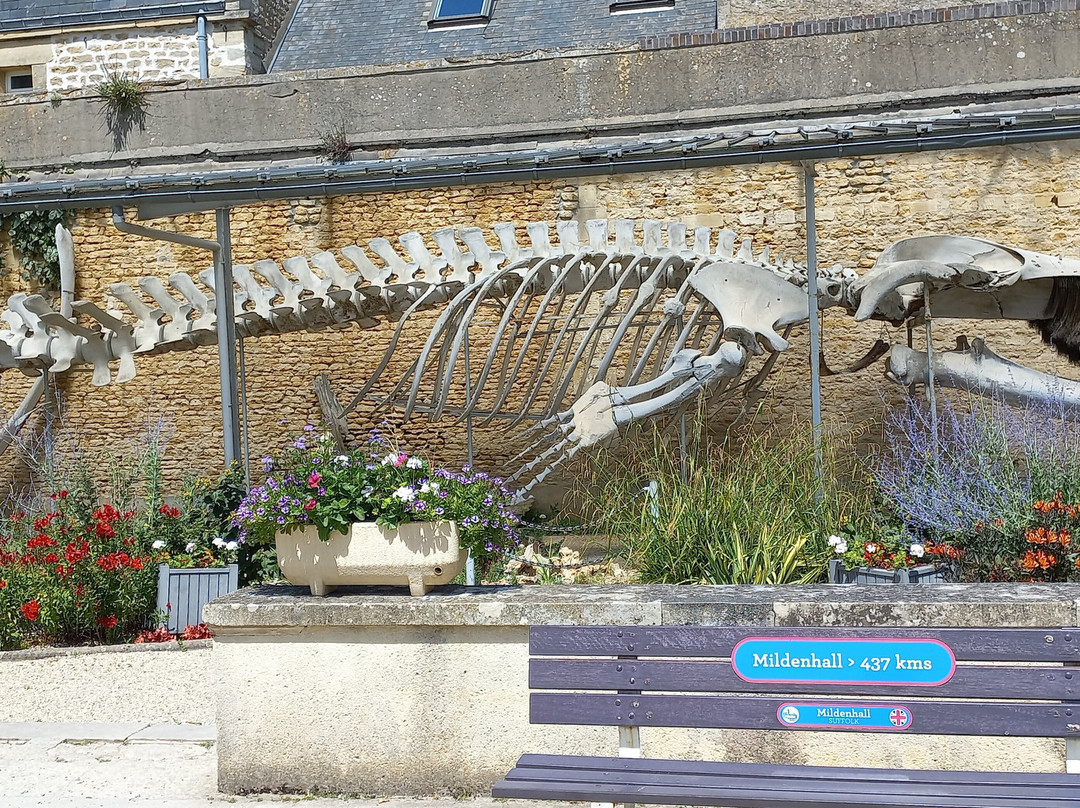Parc De La Baleine-Luc-sur-Mer必去景点
