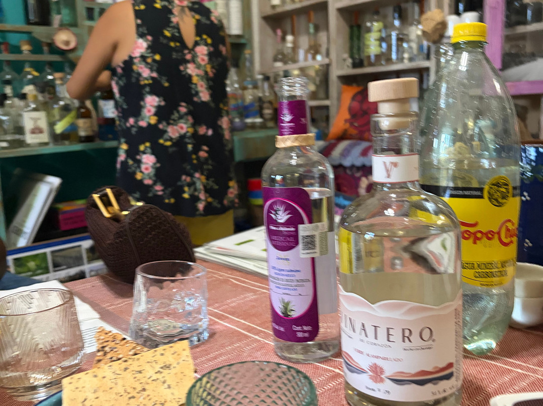 Mexico Gourmet-托多斯桑托斯必去景点