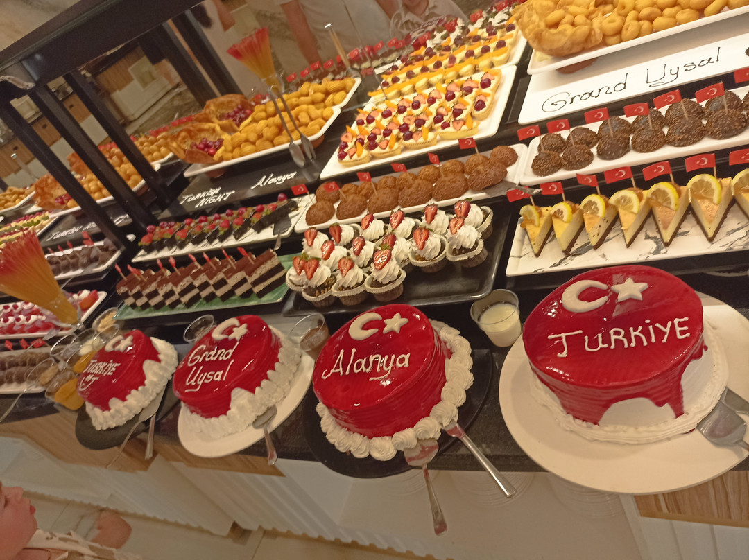 大阿似博海滩和水疗酒店 - 全包主图