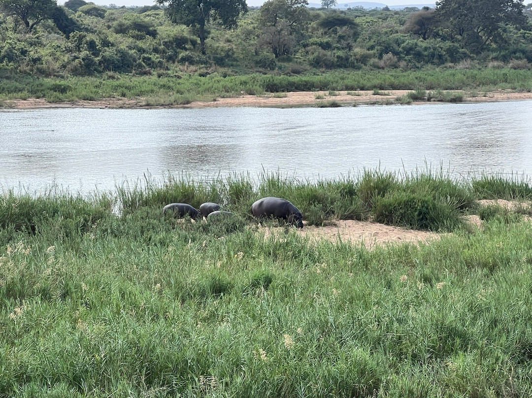 Kruger National Park-尼斯普鲁特必去景点