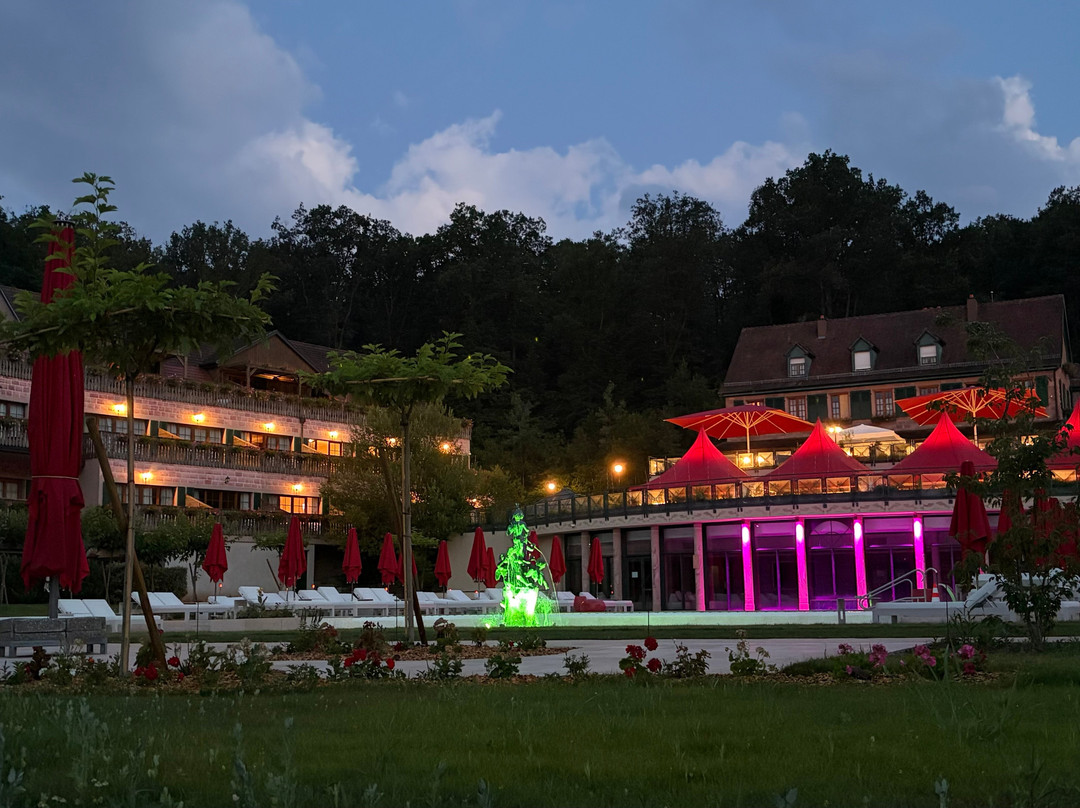 Hôtel & Spa les Violettes主图