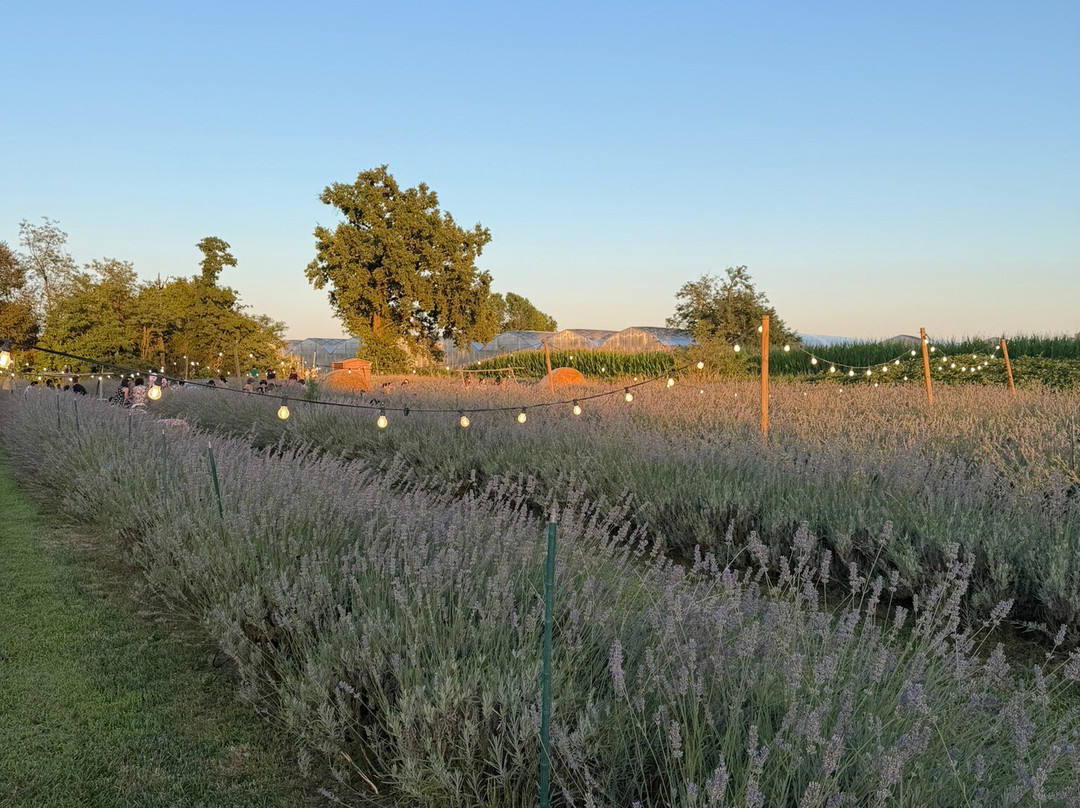 Cascina Pizzo