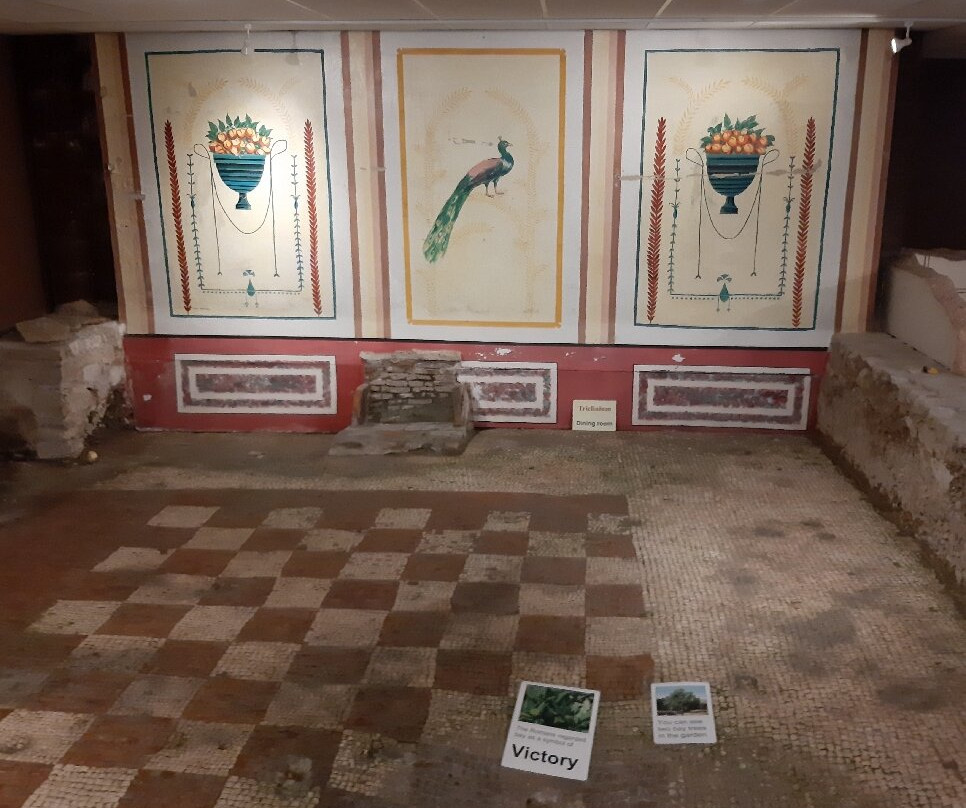 Newport Roman Villa-纽波特必去景点