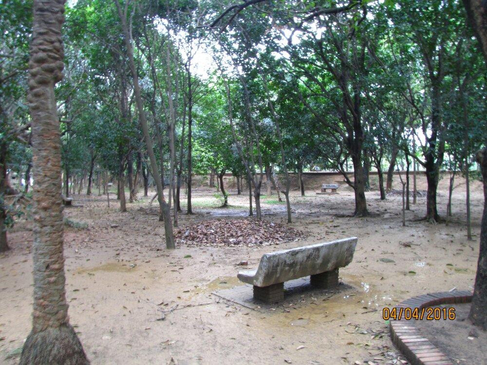 Gulshan Lake Park-达卡市必去景点