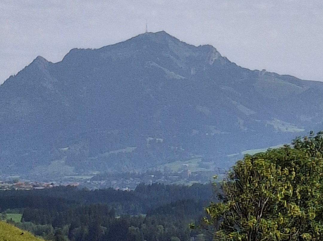 Pension Forelle