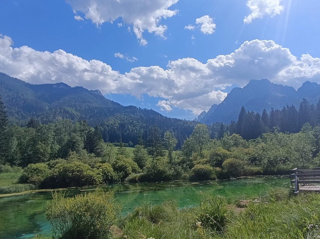 Zelenci Nature Reserve-Kranjska Gora必去景点