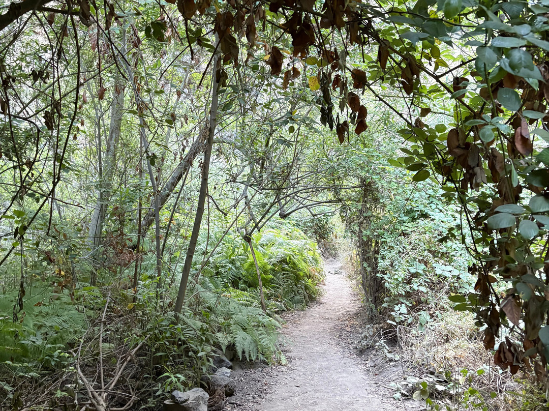 Barranco Del Infierno-奥德杰海岸必去景点