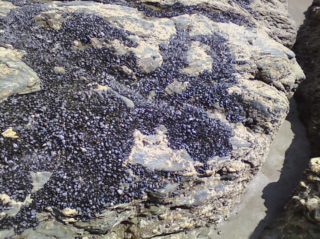 Par Sands Beach-Par必去景点