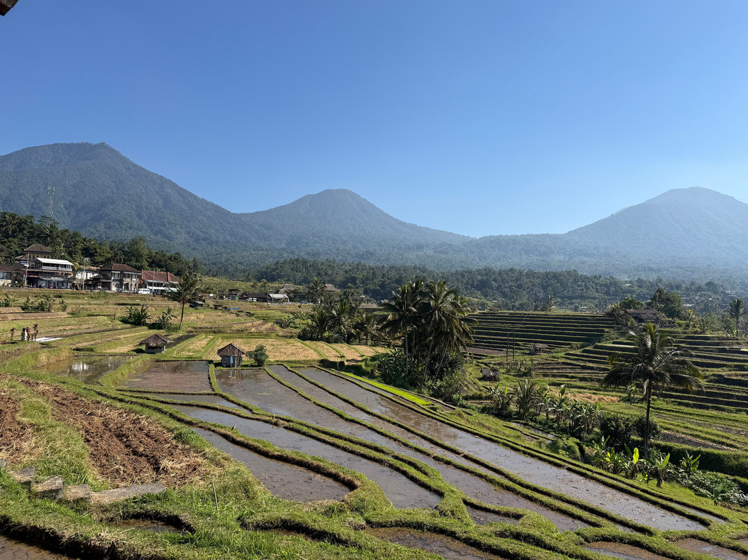 Jatiluwih Cycling & E-bike Tours With Bali By Pedals-Belalang必去景点