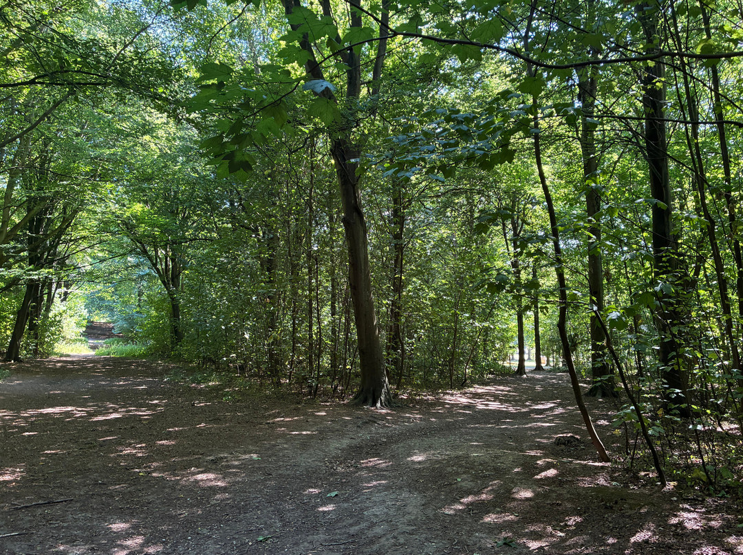 Friston Forest-伊斯特本必去景点