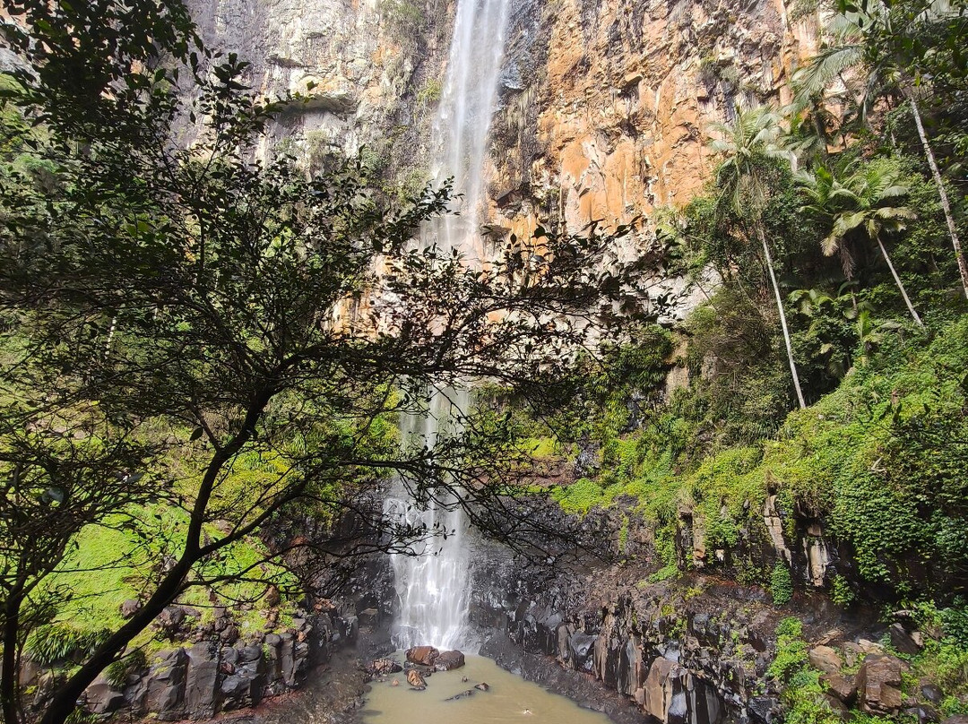 Purling Brook Falls-春之泉必去景点