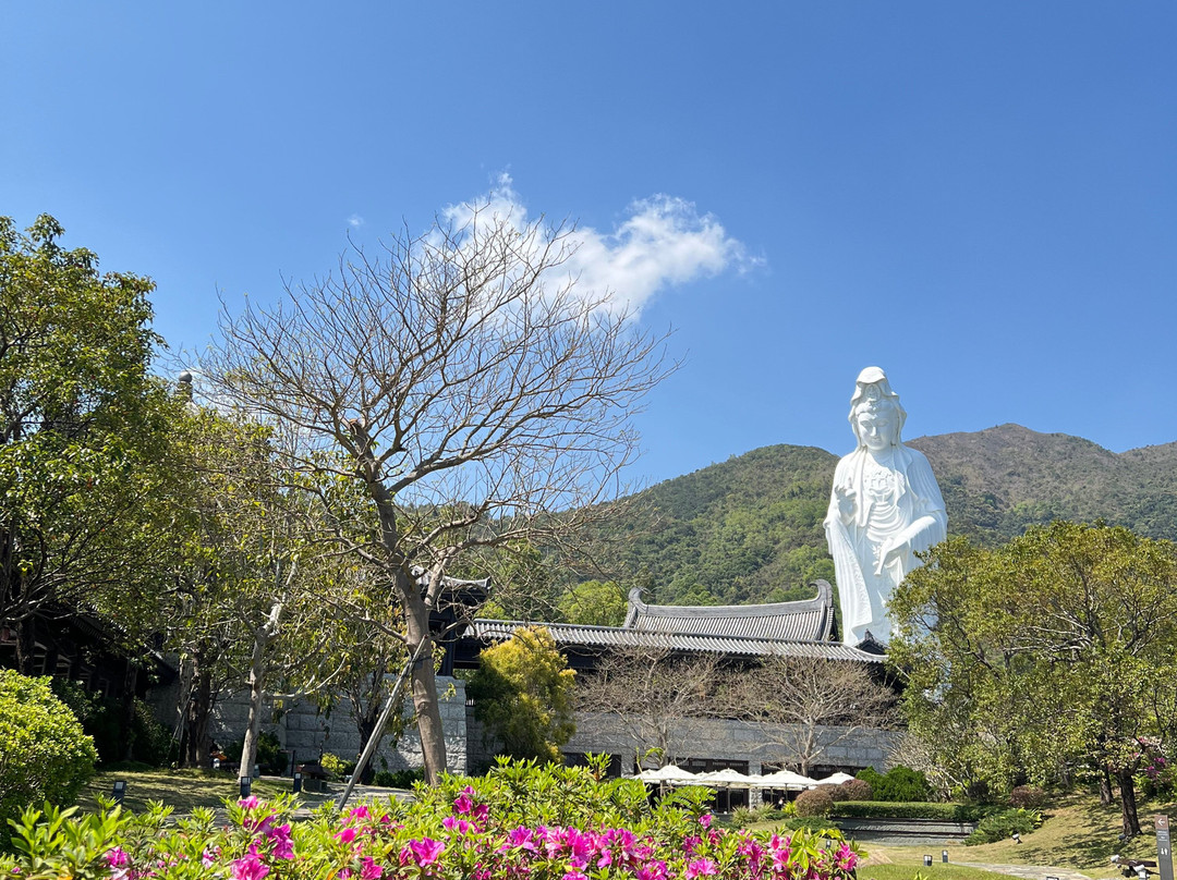 慈山寺-香港必去景点