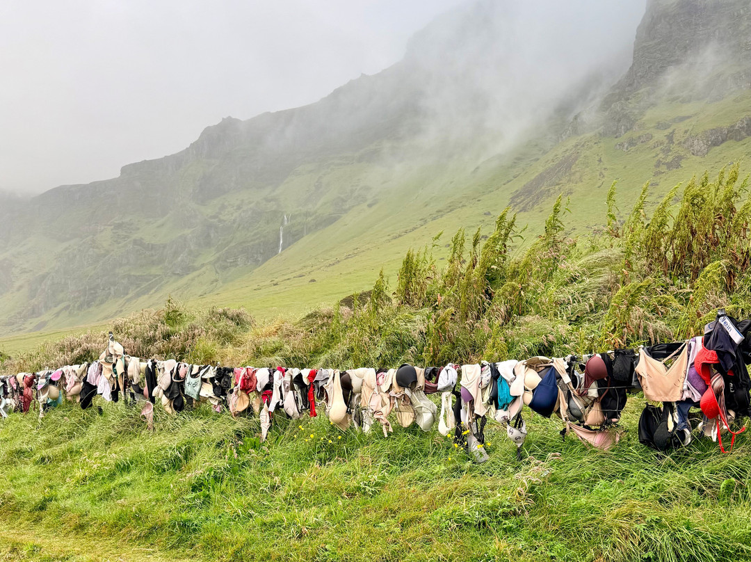 Westfjords Region旅游景点-Bra Fence