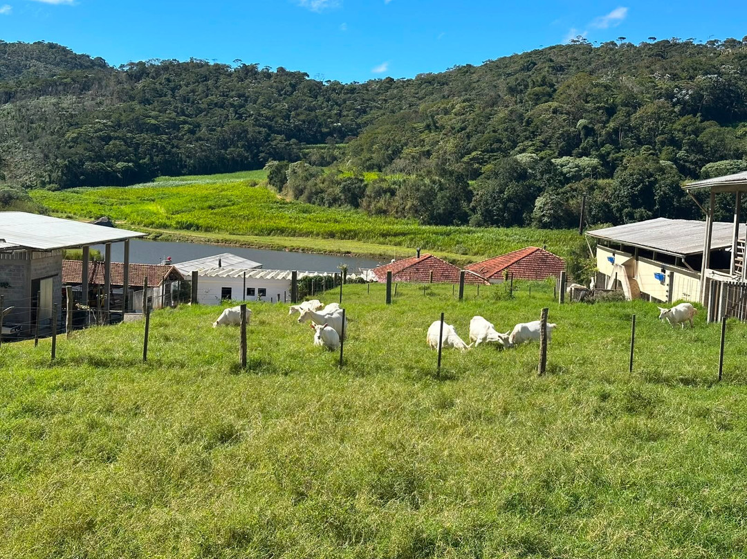 Capriana Granja Leiteira