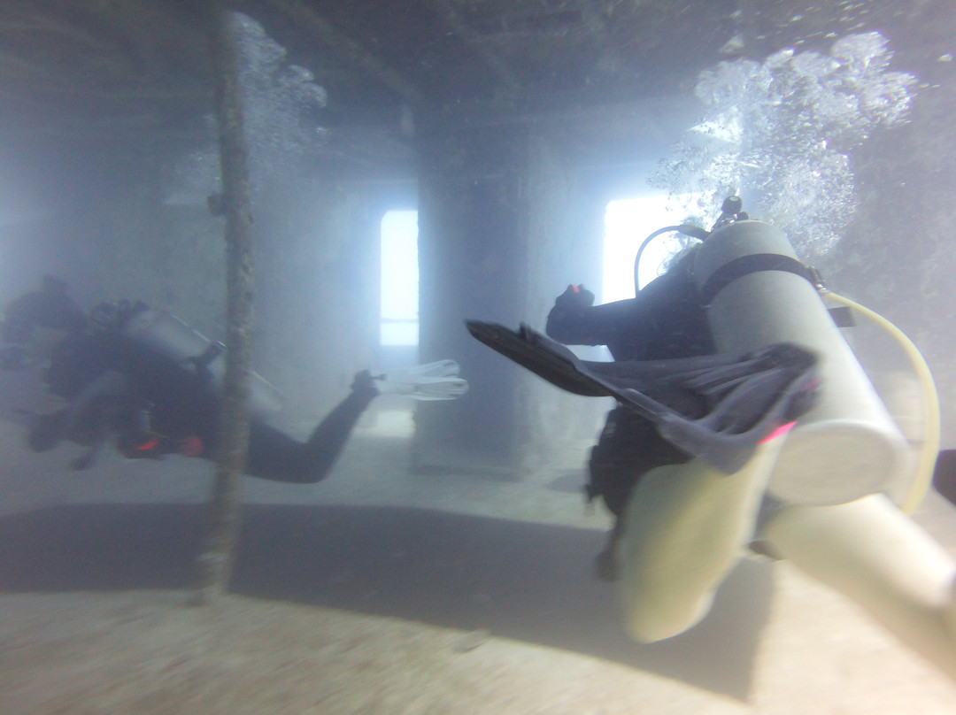 Blue Water Divers & Watersports-Sandys Parish必去景点