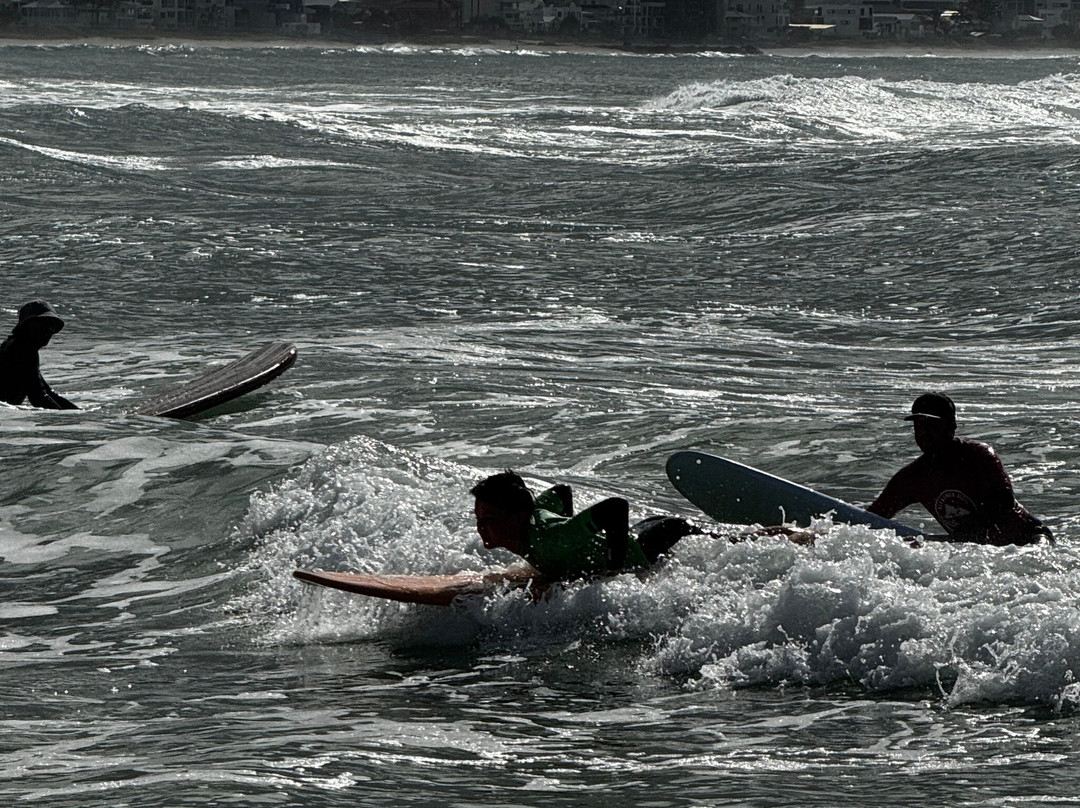 Currumbin Alley Surf School-可伦宾必去景点