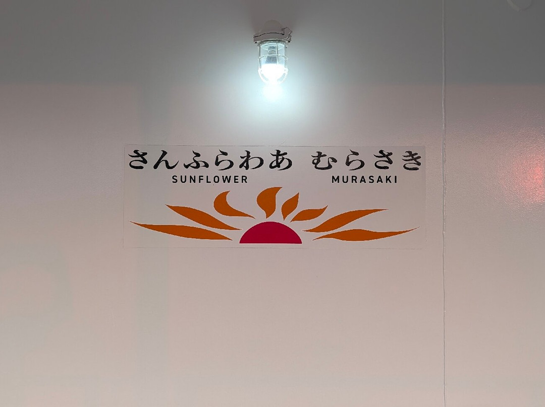 Ferry Sunflower-别府市必去景点