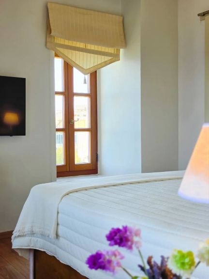 Arion Syros Luxury Rooms and Suites-客卧