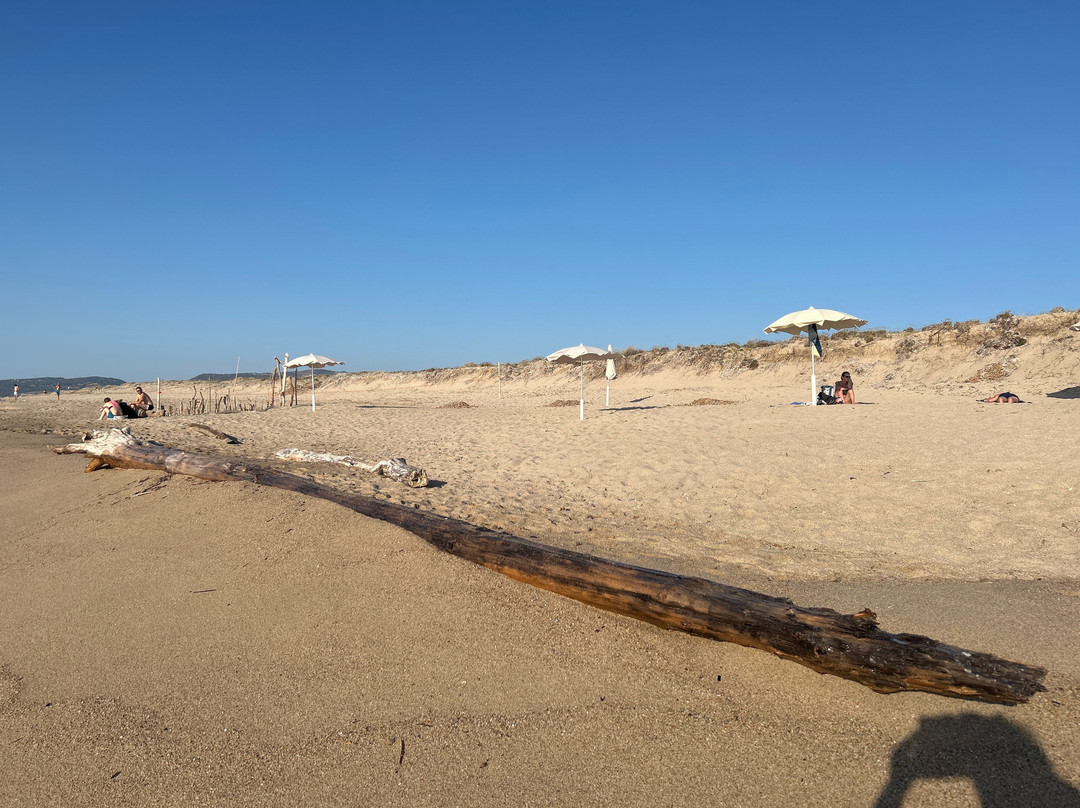 Lido Dog Beach-Aglientu必去景点