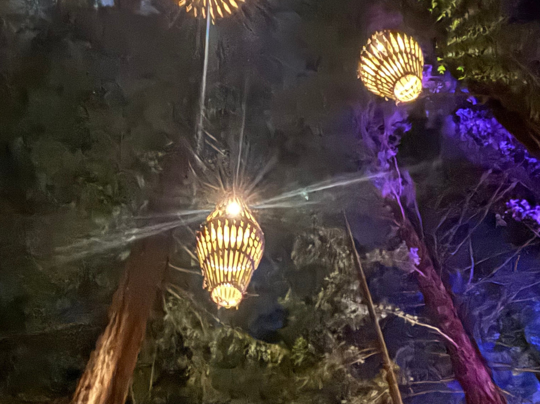 Redwoods Treewalk-罗托鲁瓦必去景点