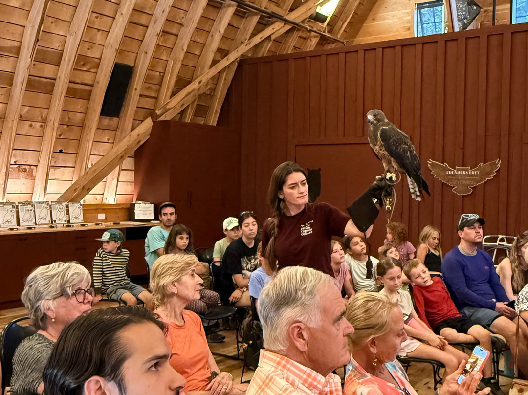 Teton Raptor Center-威尔逊必去景点
