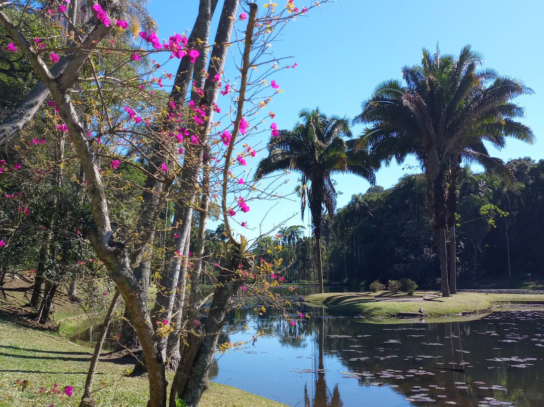 Jardim Botânico de São Paulo-圣保罗必去景点