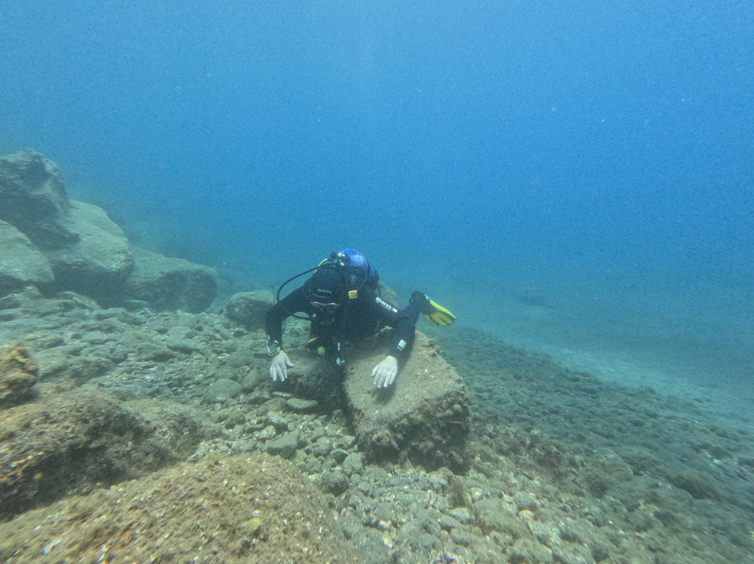 Ecological Divers Tenerife-Los Abrigos必去景点