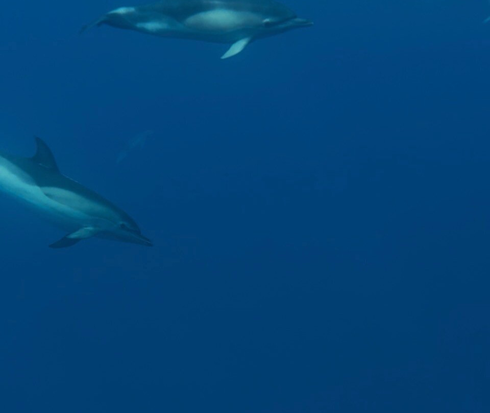 CW Azores-Madalena必去景点