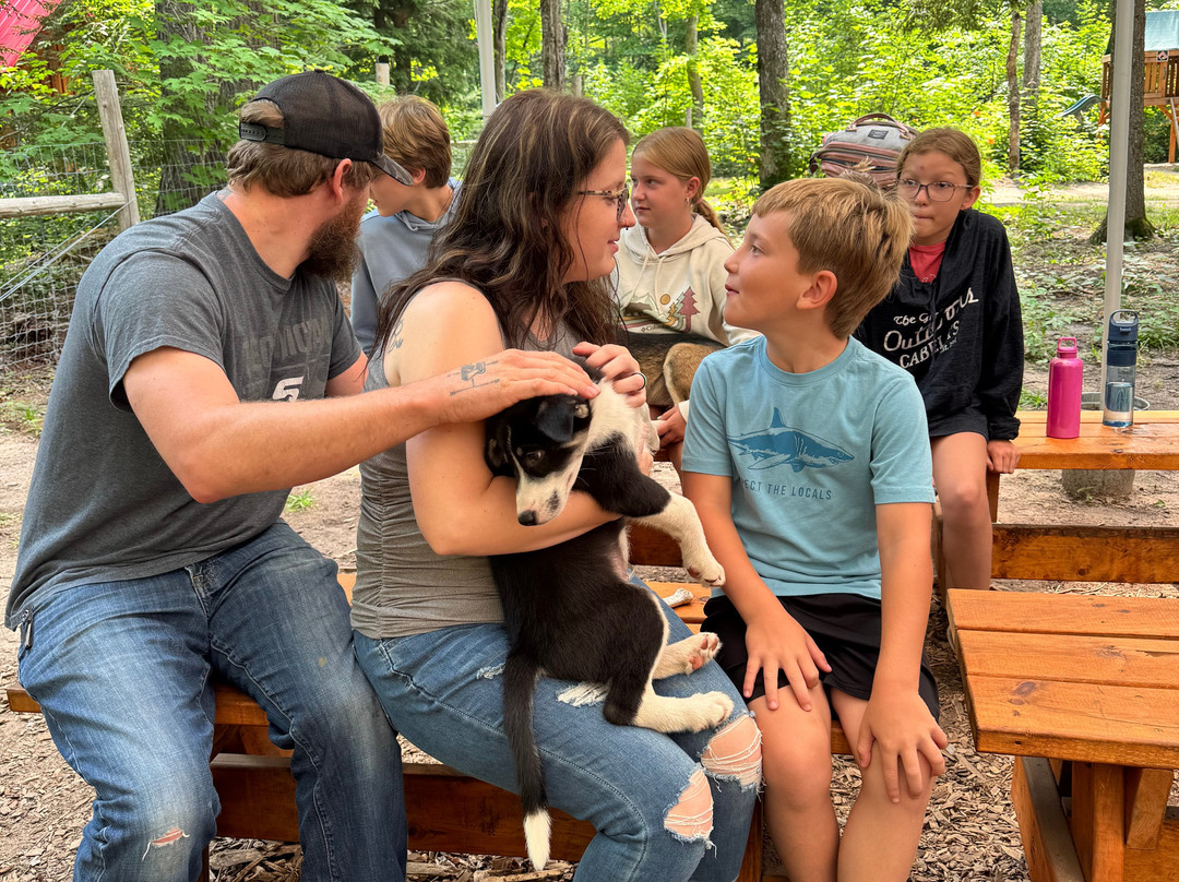 MIDOG - Michigan's Summer Sled Dog Center-Newberry必去景点