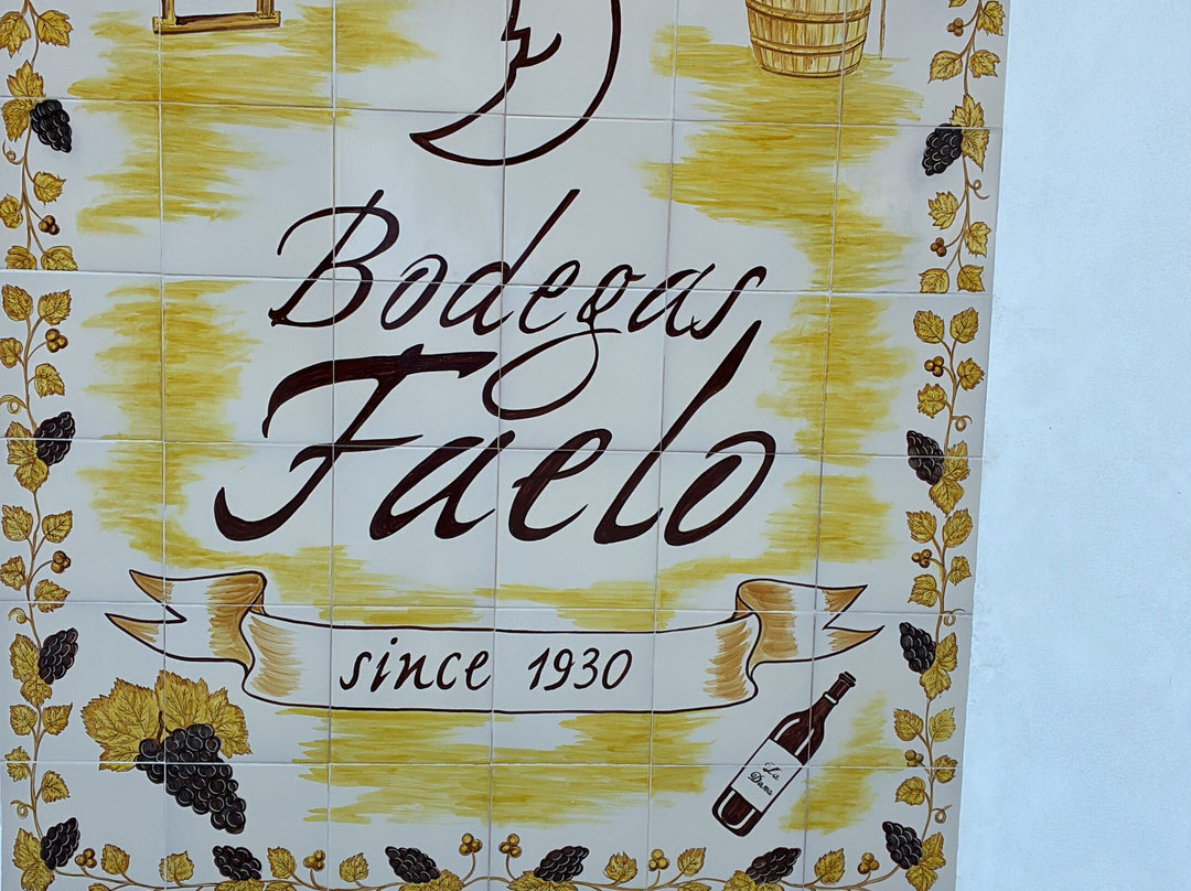 Bodegas Faelo-埃尔切必去景点