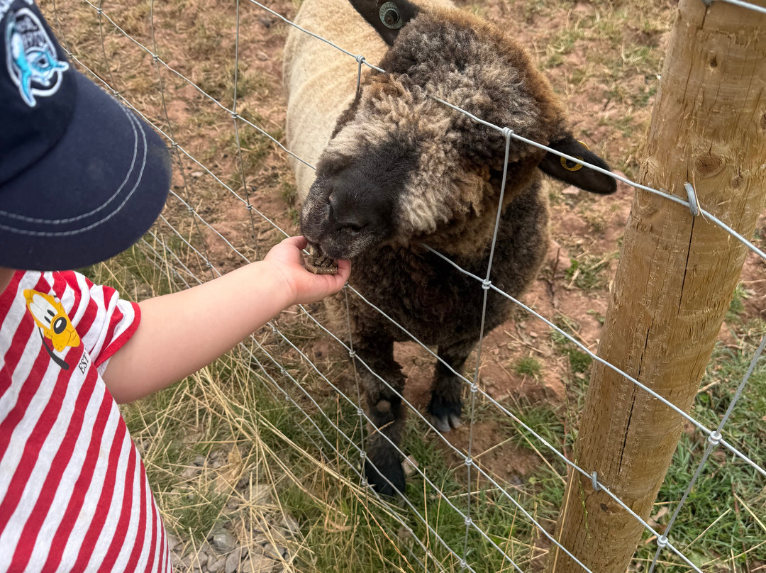 Greenmeadow Community Farm-Cwmbran必去景点