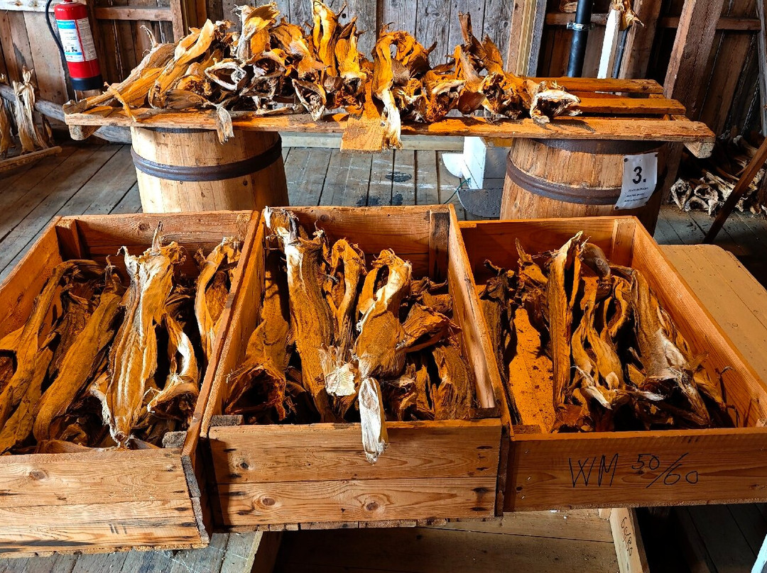 Lofoten Stockfish Museum-Moskenes Municipality必去景点