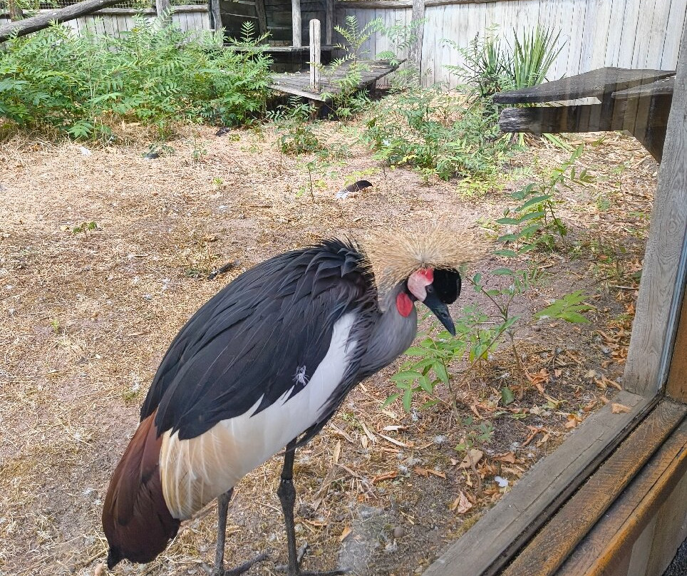 Zoo D'Amneville-昂内维尔必去景点