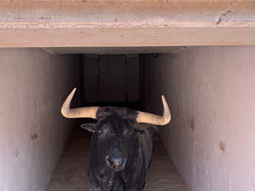 Plaza de Toros de Pamplona-潘普洛纳必去景点